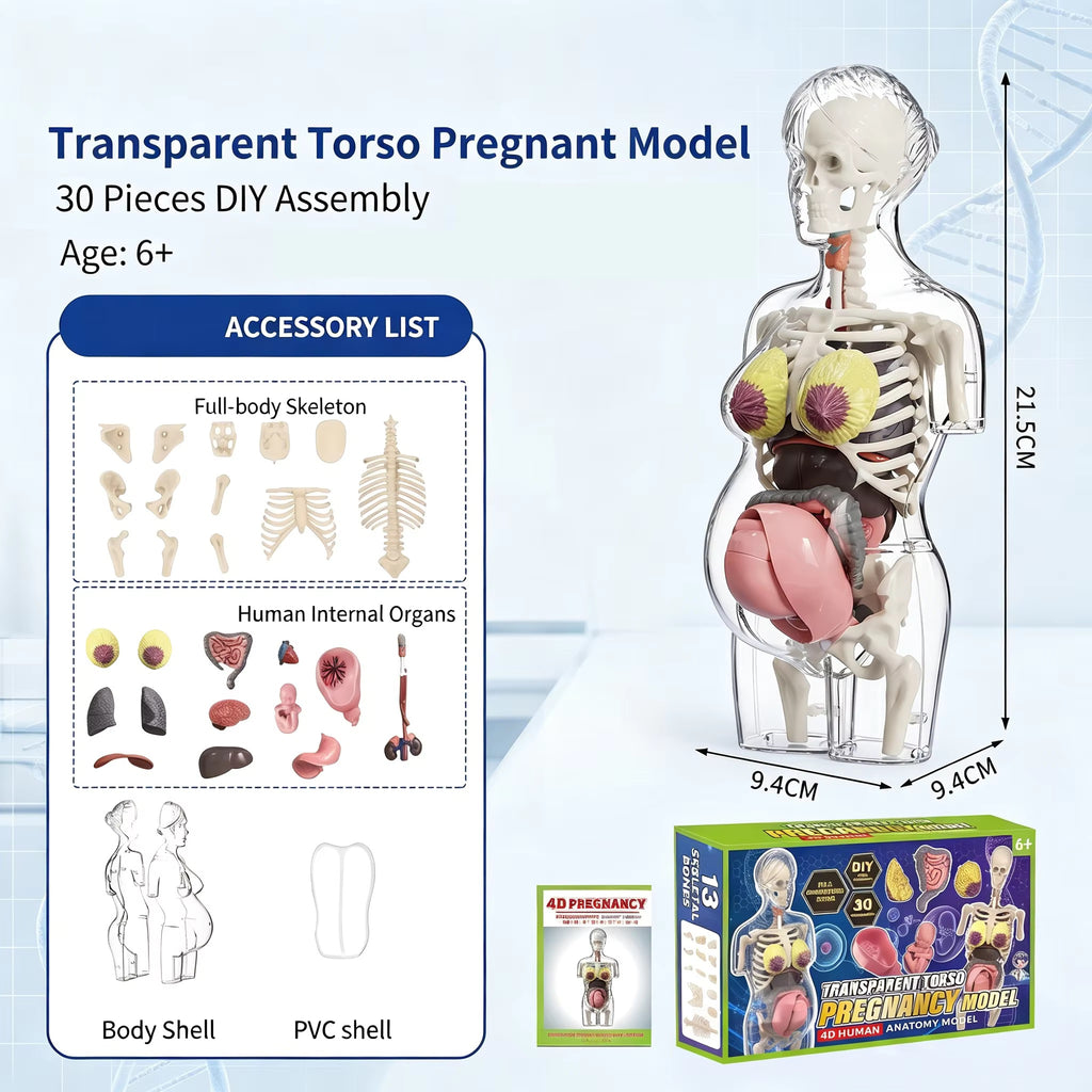 TXX 022