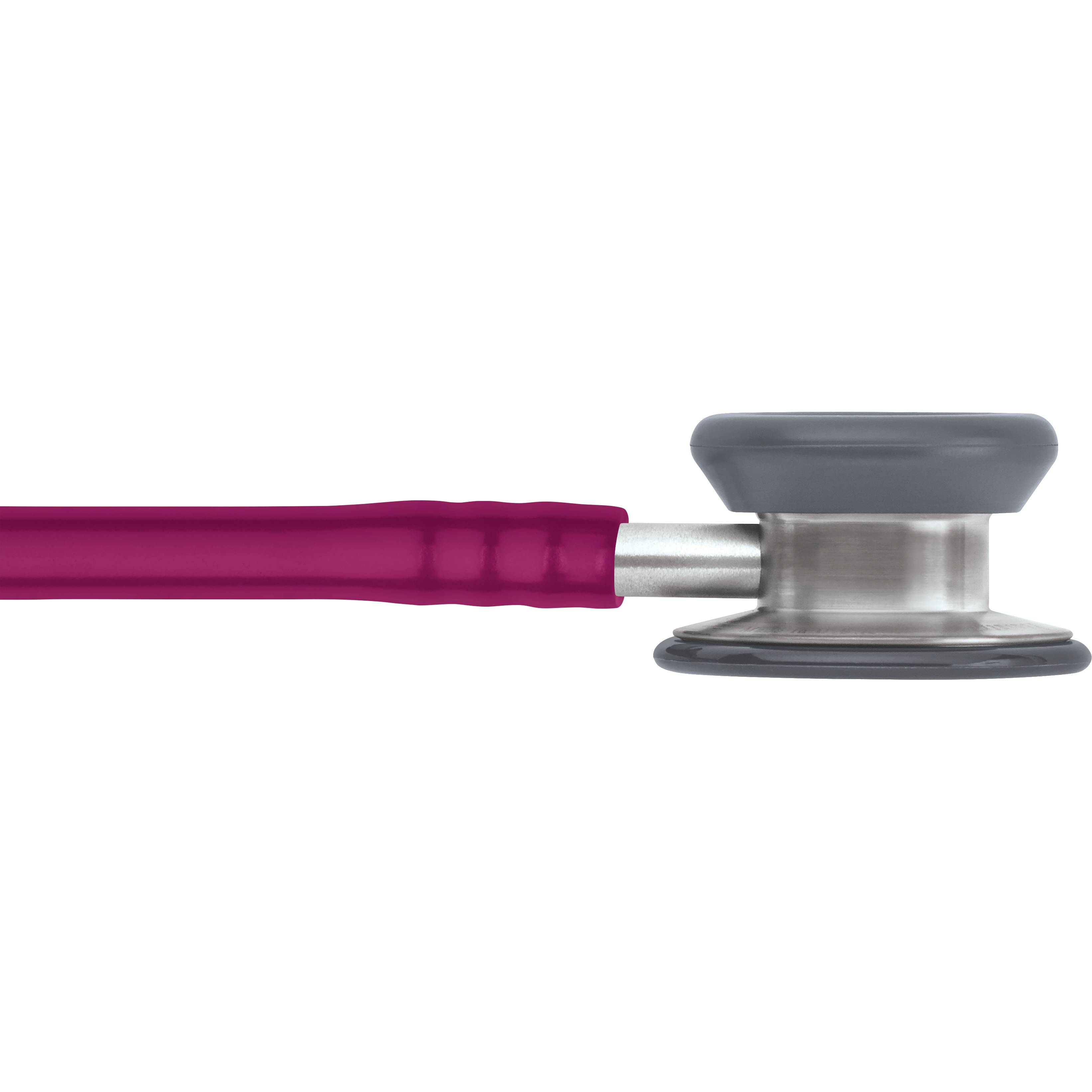 Littmann paediatric - Raspberry