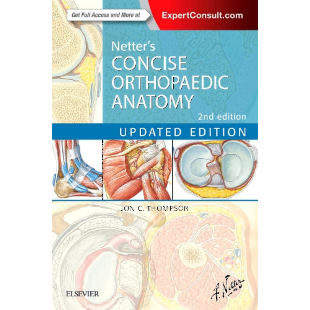 Netter’s concise orthopaedic anatomy 2e