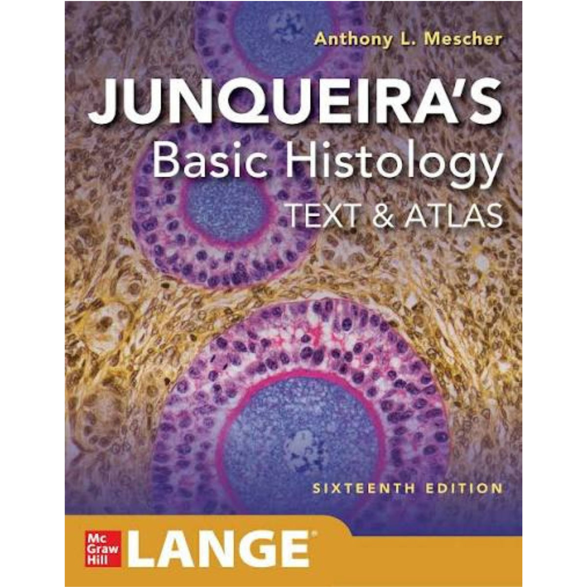 Junqueira’s basic histology text & atlas 15 e