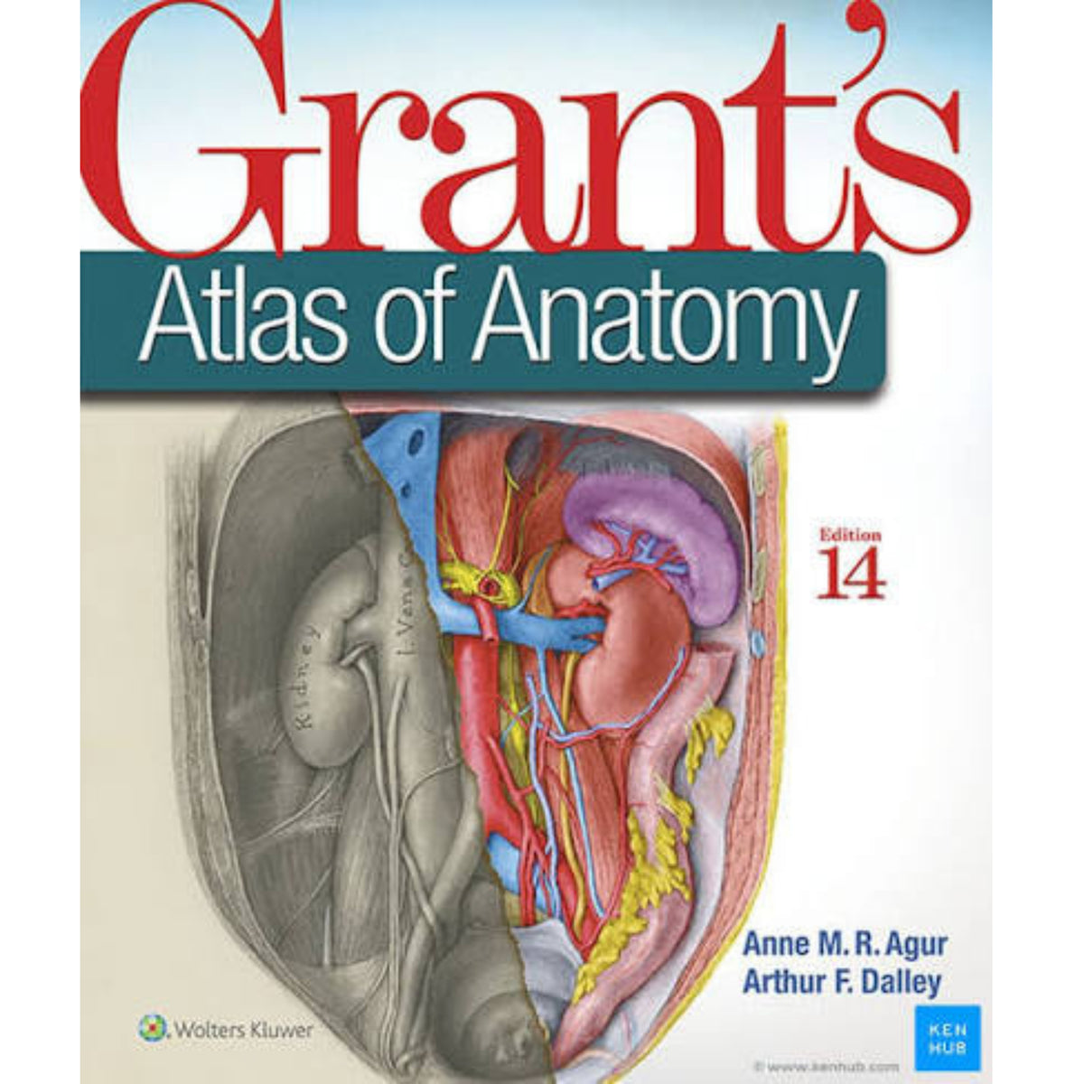 Grant's atlas of Anatomy 14e (G)