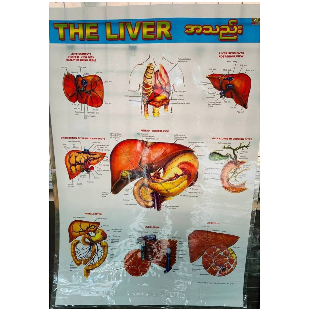 Medical poster