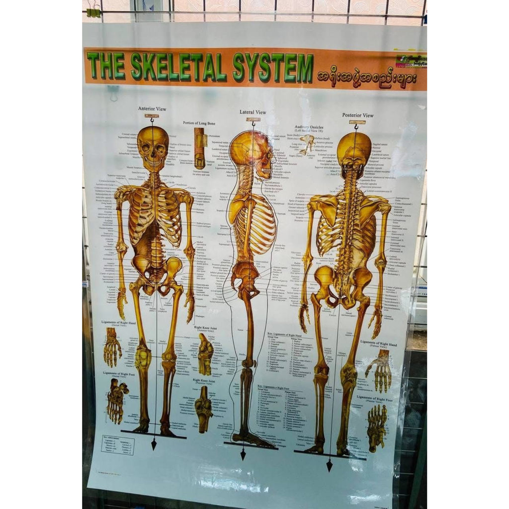 Medical poster
