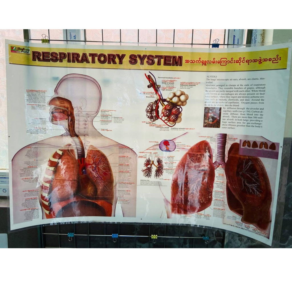 Medical poster