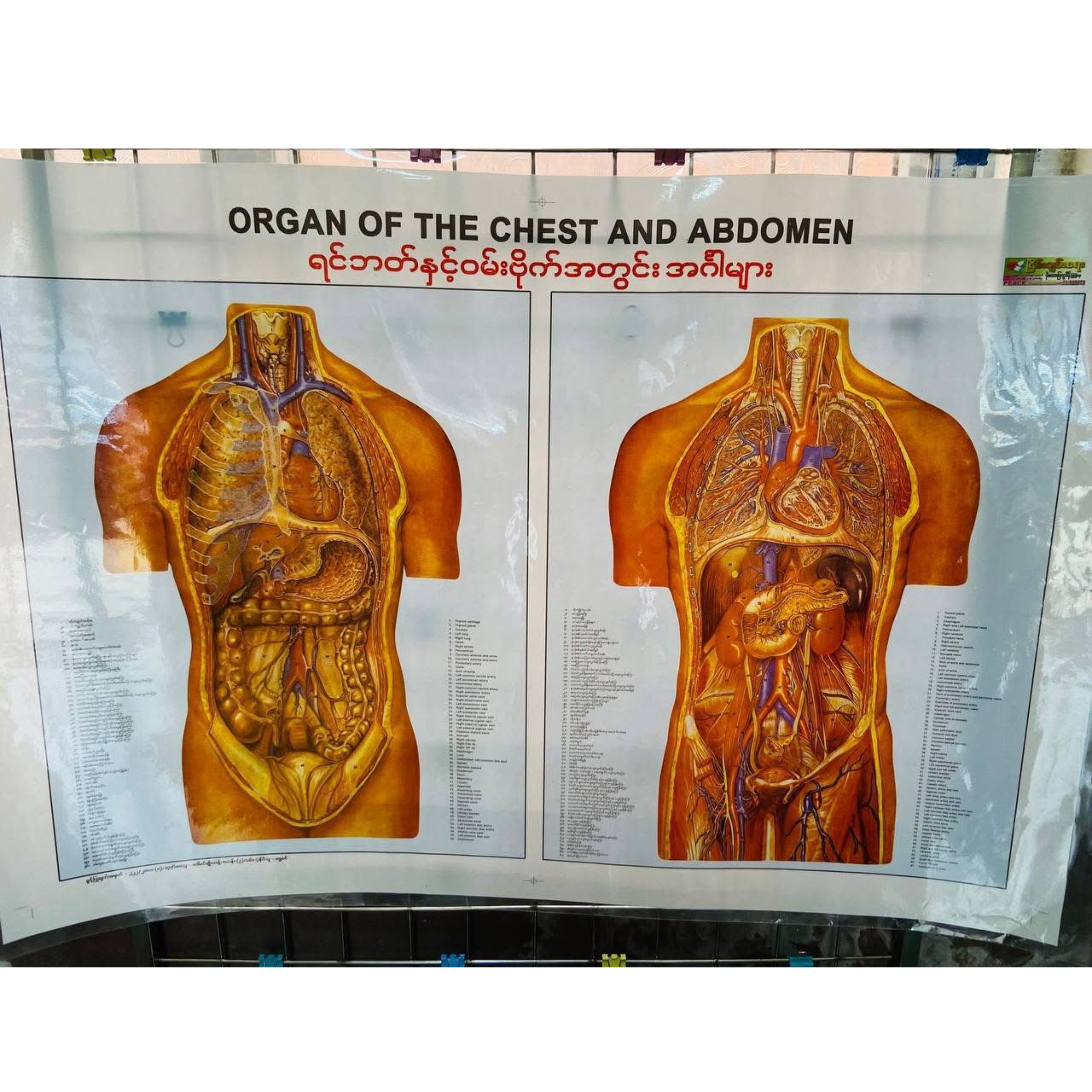 Medical poster