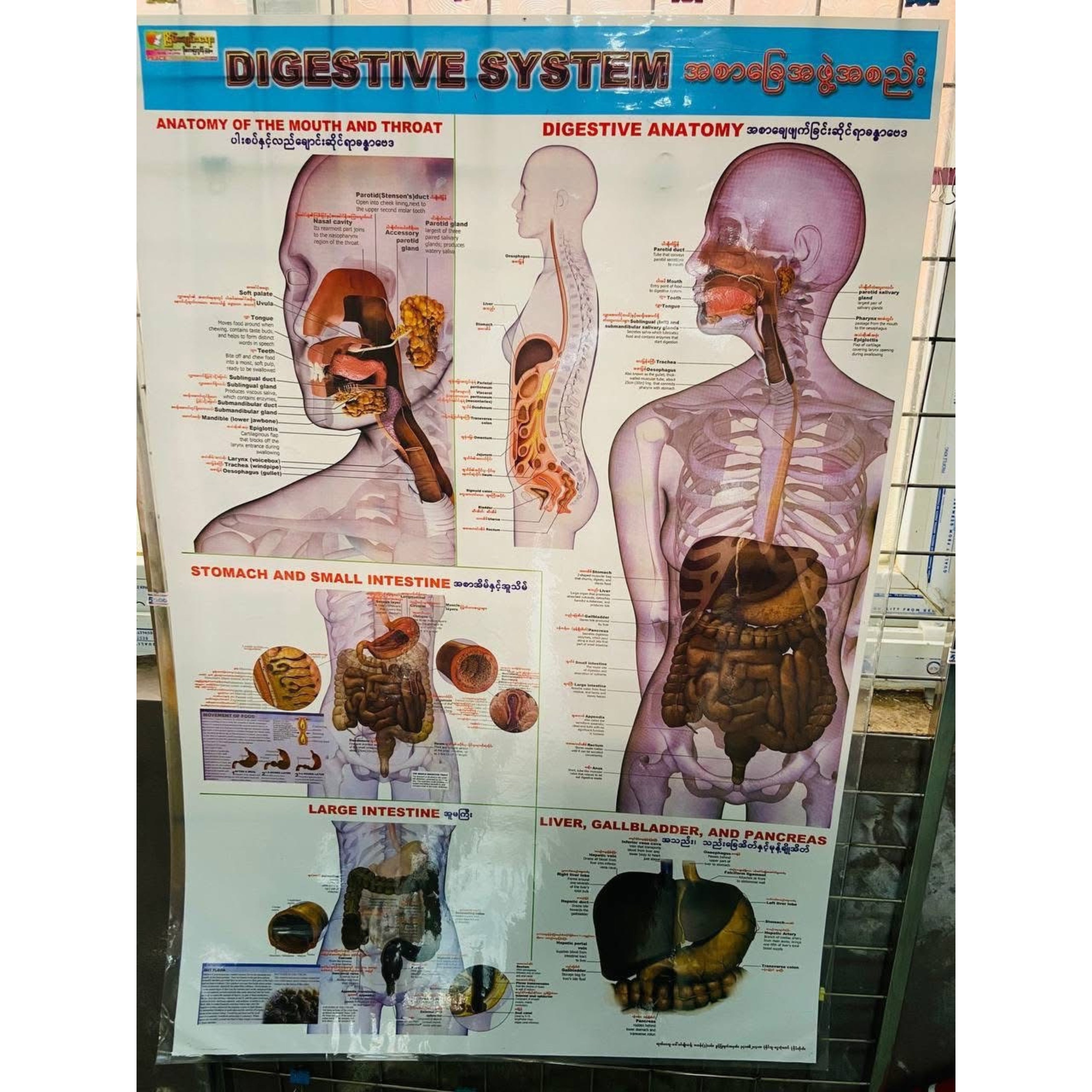 Medical poster