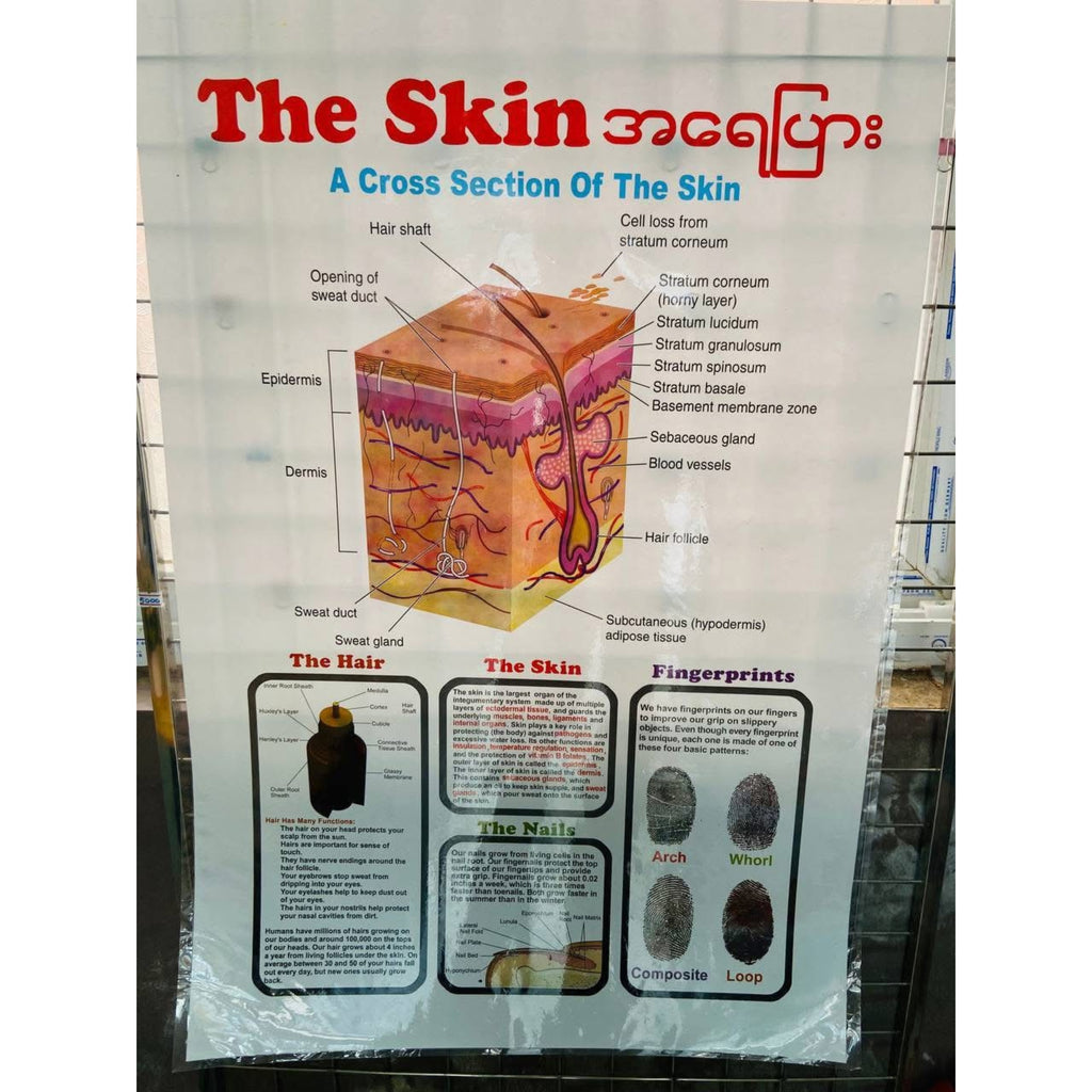 Medical poster