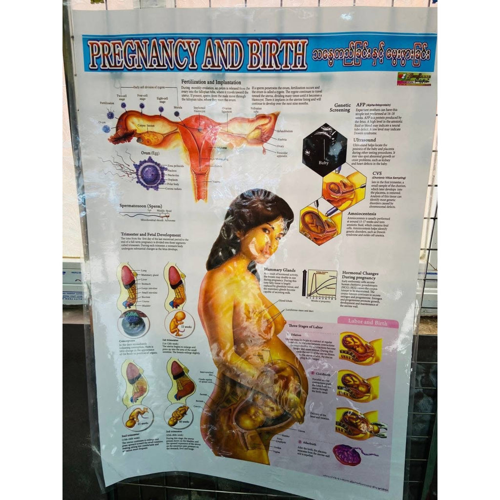Medical poster