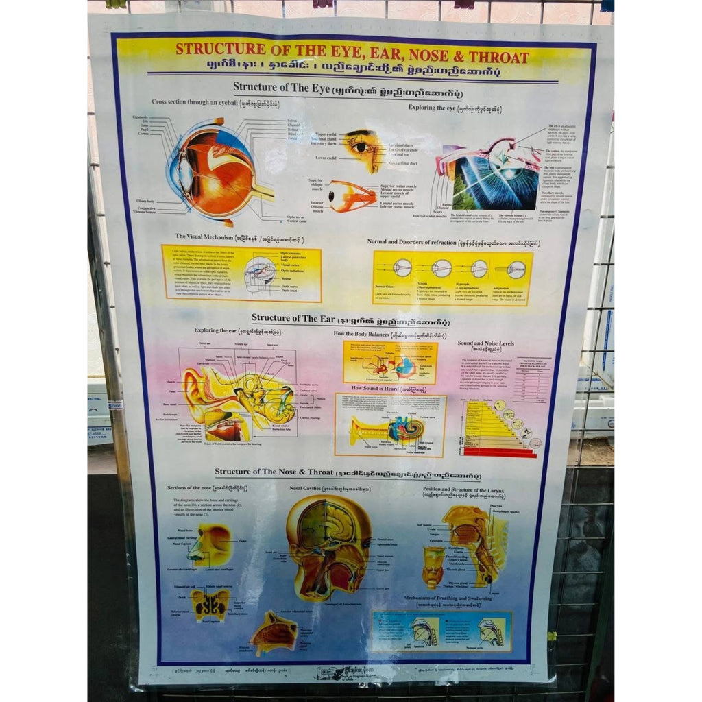 Medical poster