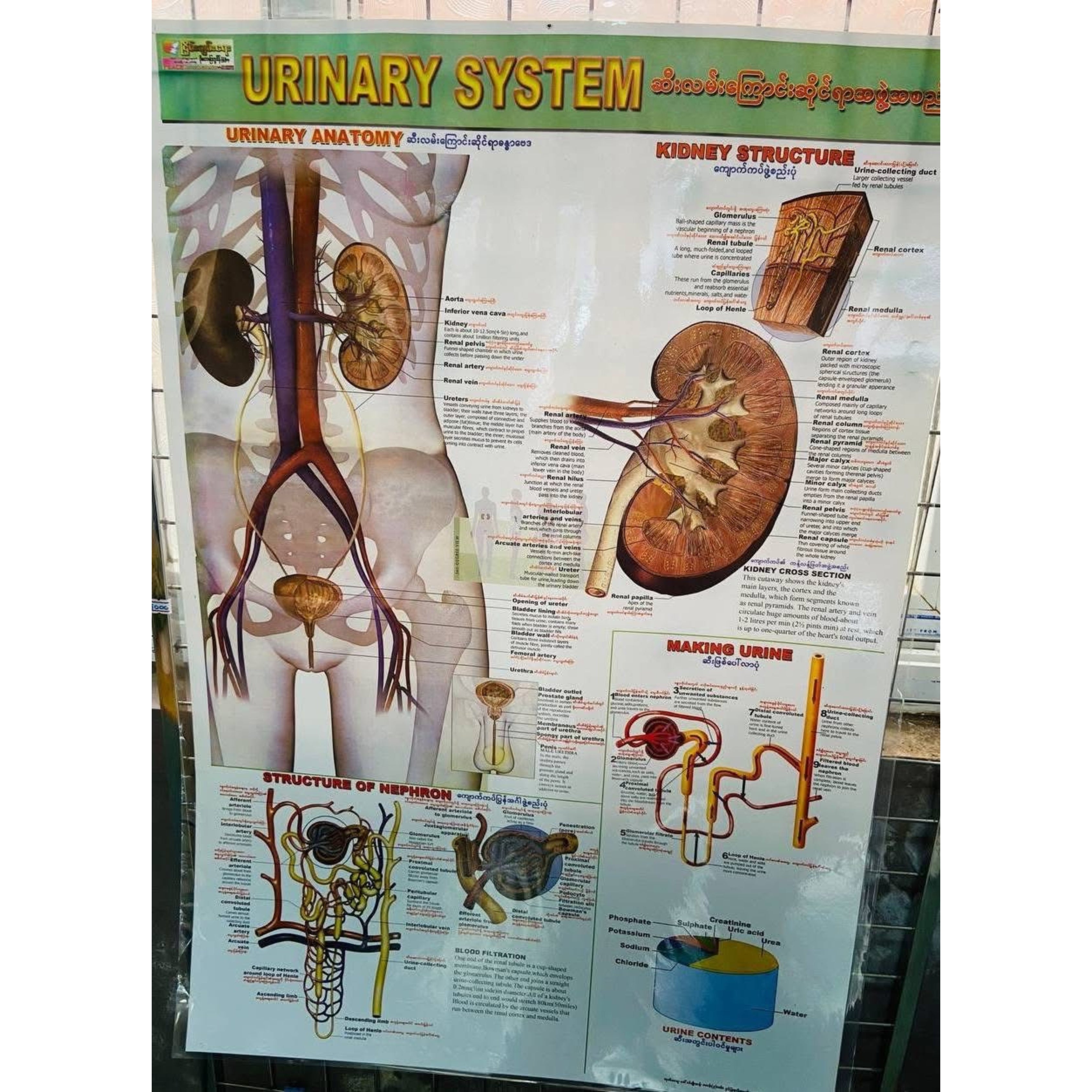 Medical poster