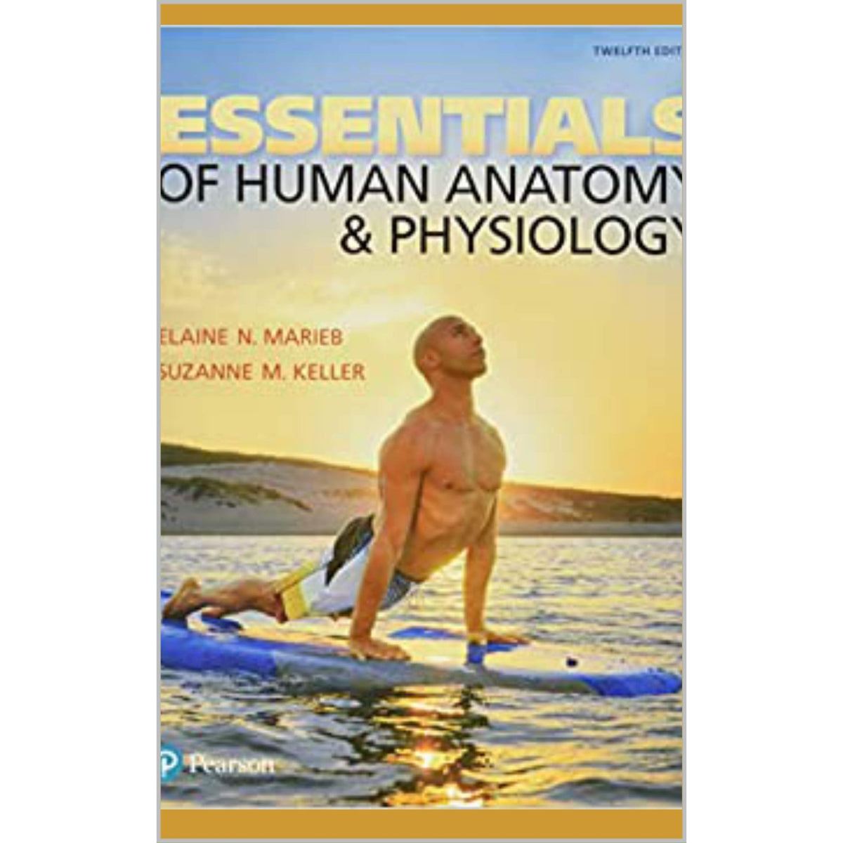 Essentials of human anatomy and physiology 12e