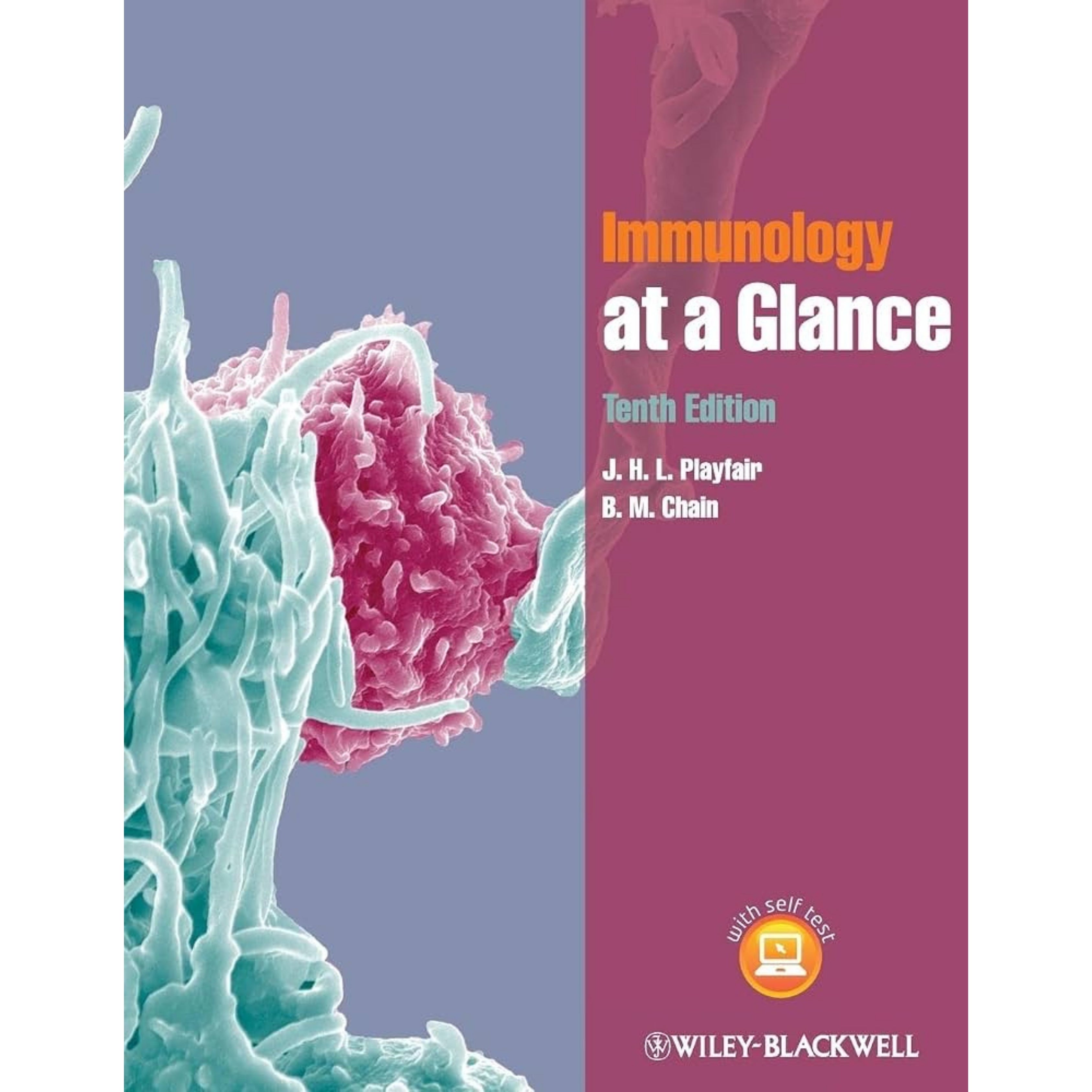 Immunology at a glance 4e