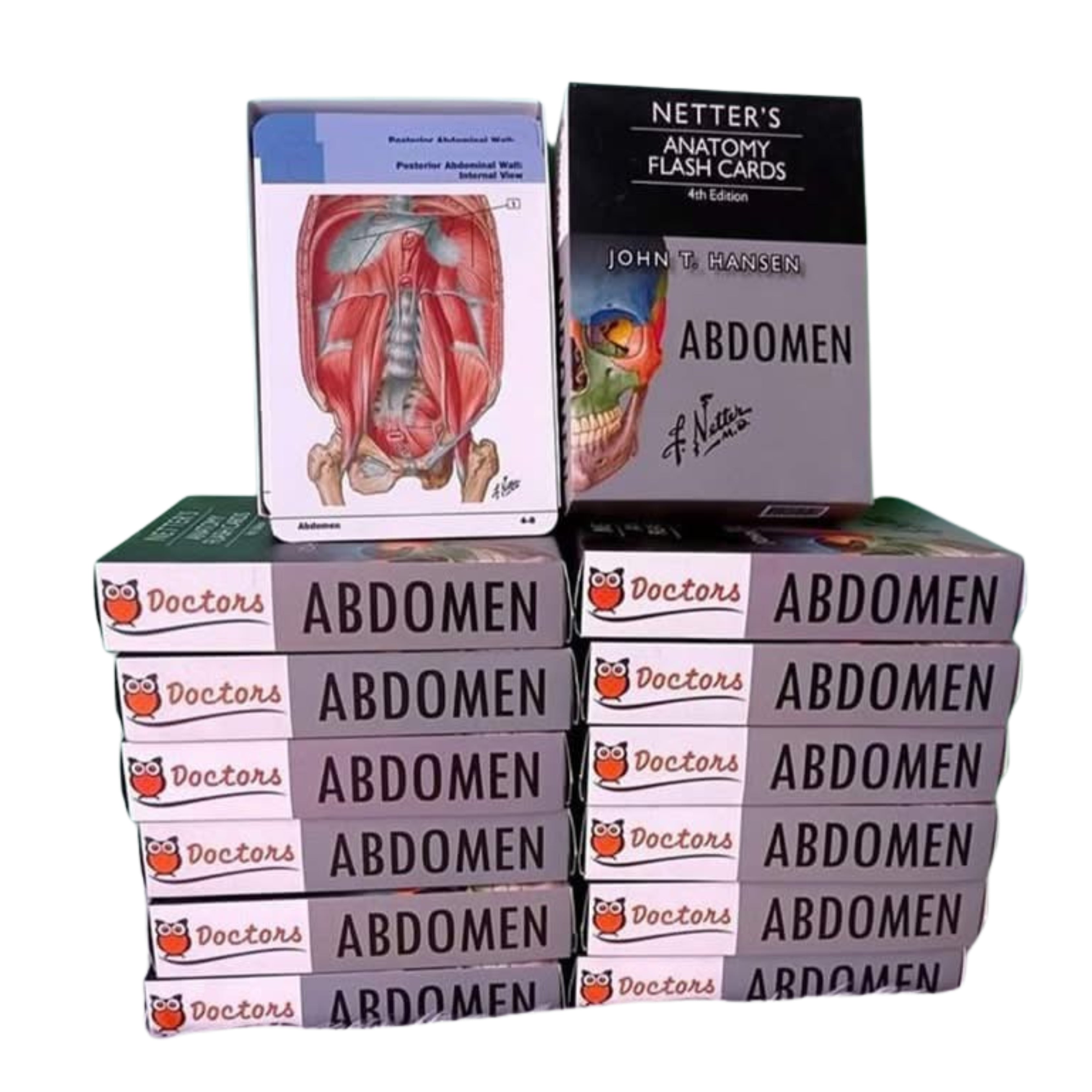 Netter’s Anatomy flash cards (abdomen)