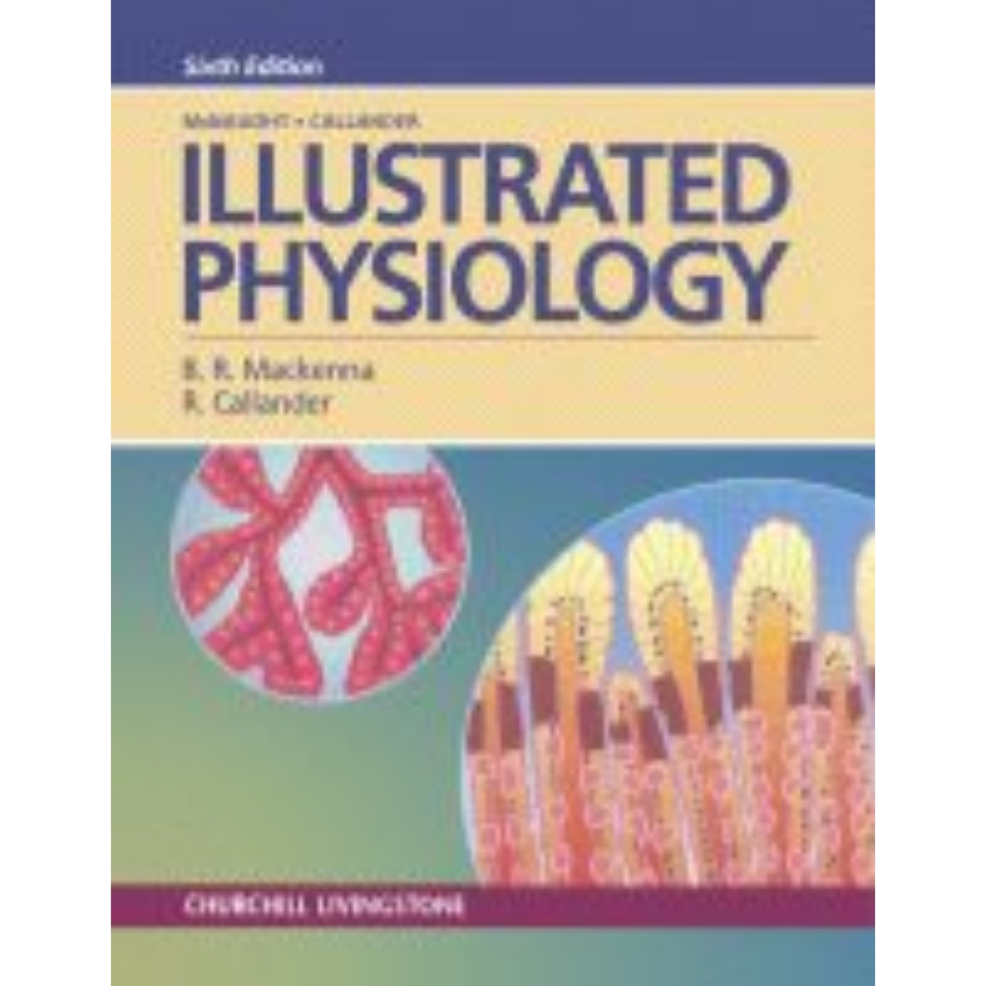 Illustrated physiology 6e