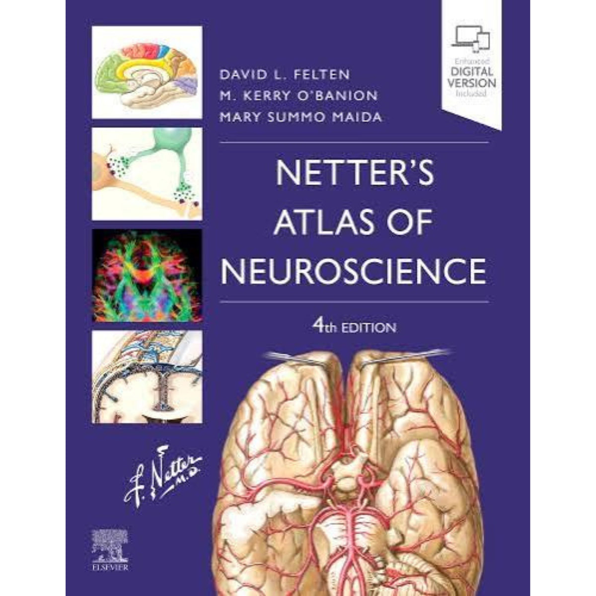 Netter’s atlas of neuroscience 4e
