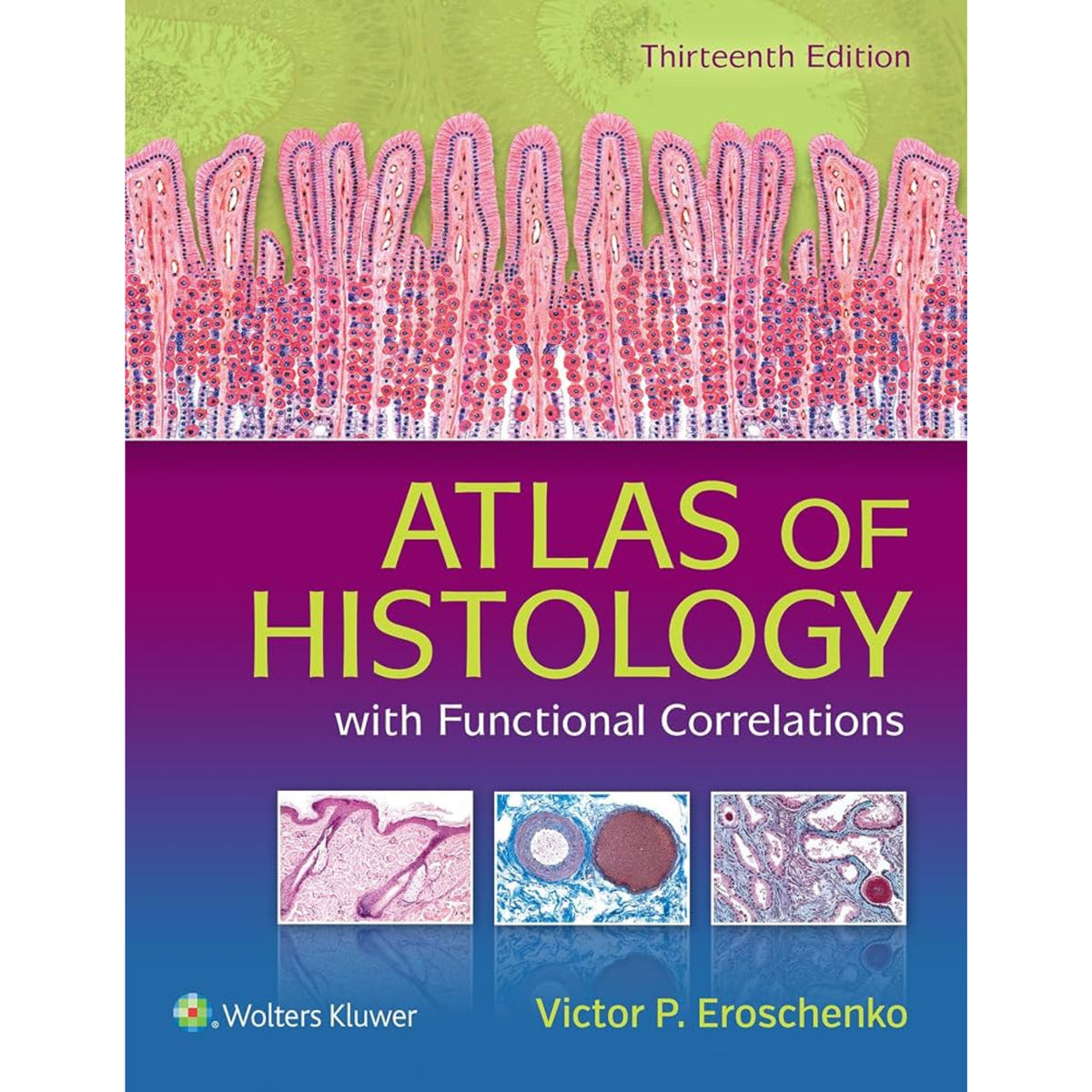 Atlas of histology with functional correlations 13e