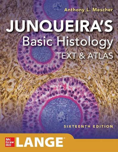 Junqueira's basic histology 16e