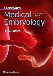 Langman’s medical embryology 14e